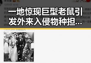 一地惊现巨型老鼠引发外来入侵物种担忧,北大“冰雹换玛瑙”最新进展登上Nature封面