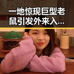 一地惊现巨型老鼠引发外来入侵物种担忧,北大“冰雹换玛瑙”最新进展登上Nature封面