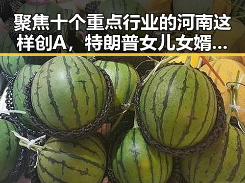 聚焦十个重点行业的河南这样创A,特朗普女儿女婿在欧洲被火烈鸟围绕引发黑料福利不打烊