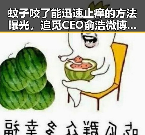 蚊子咬了能迅速止痒的方法曝光,追觅CEO俞浩微博因违反相关法律法规被禁言引发热议